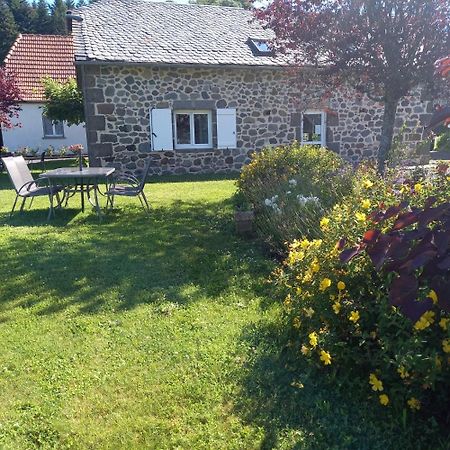 Ferme De Lamourio Saint-Cernin (Cantal) Exterior foto
